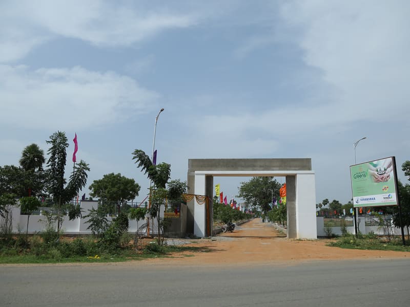 Gallery-Image